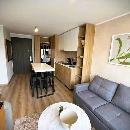 Hom I Amplio Y Luminosodepto 4Pax 2D2B Marin Santiago Apartment